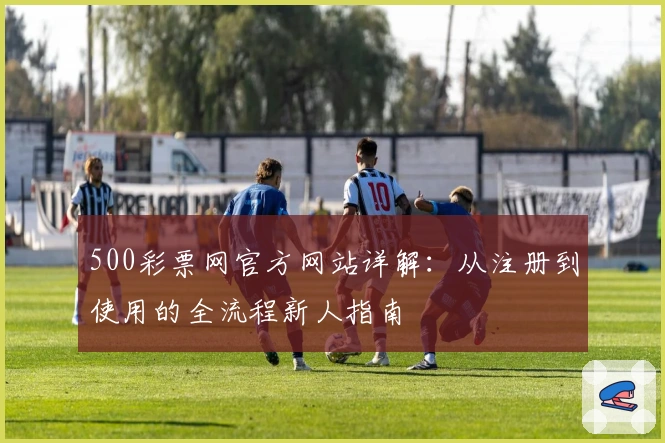 500彩票网官方网站详解：从注册到使用的全流程新人指南