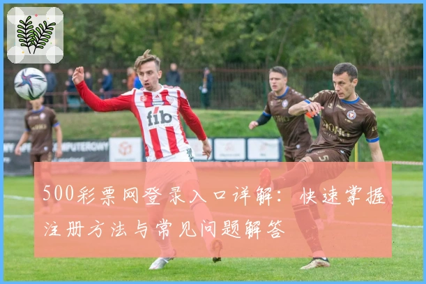 500彩票网登录入口详解：快速掌握注册方法与常见问题解答