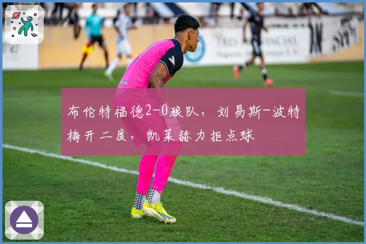 布伦特福德2-0狼队，刘易斯-波特梅开二度，凯莱赫力拒点球